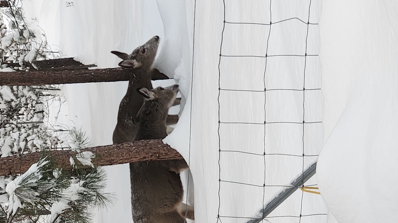 Photo of Others in La Pine