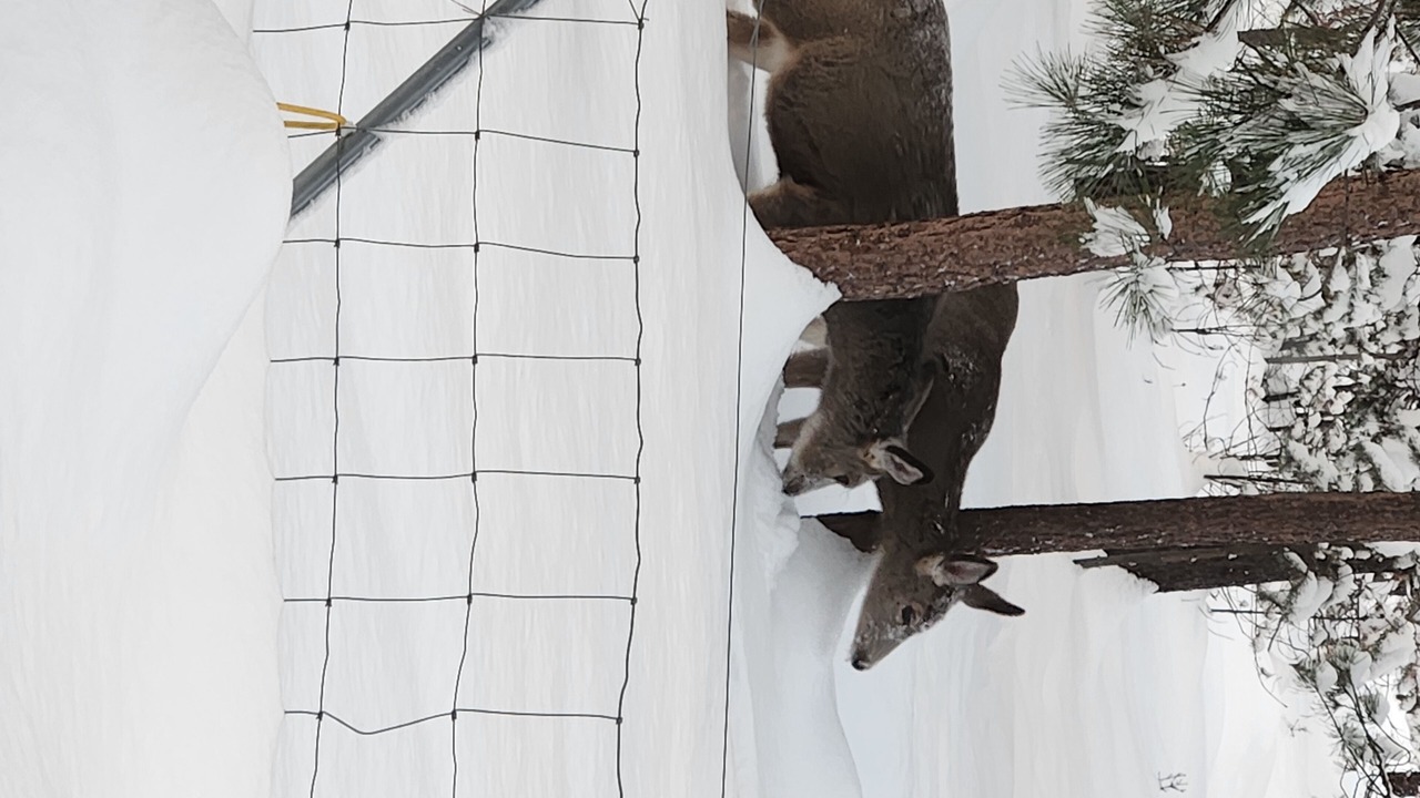 Photo of Others in La Pine