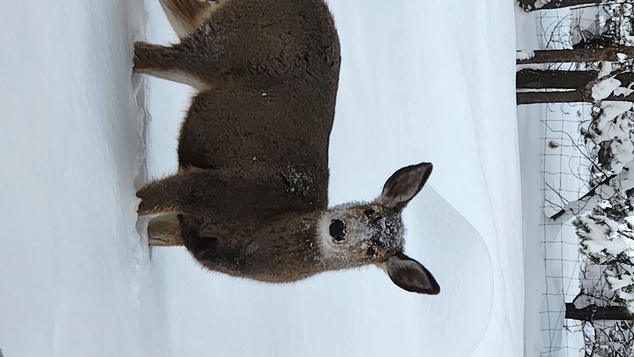 Photo of Others in La Pine