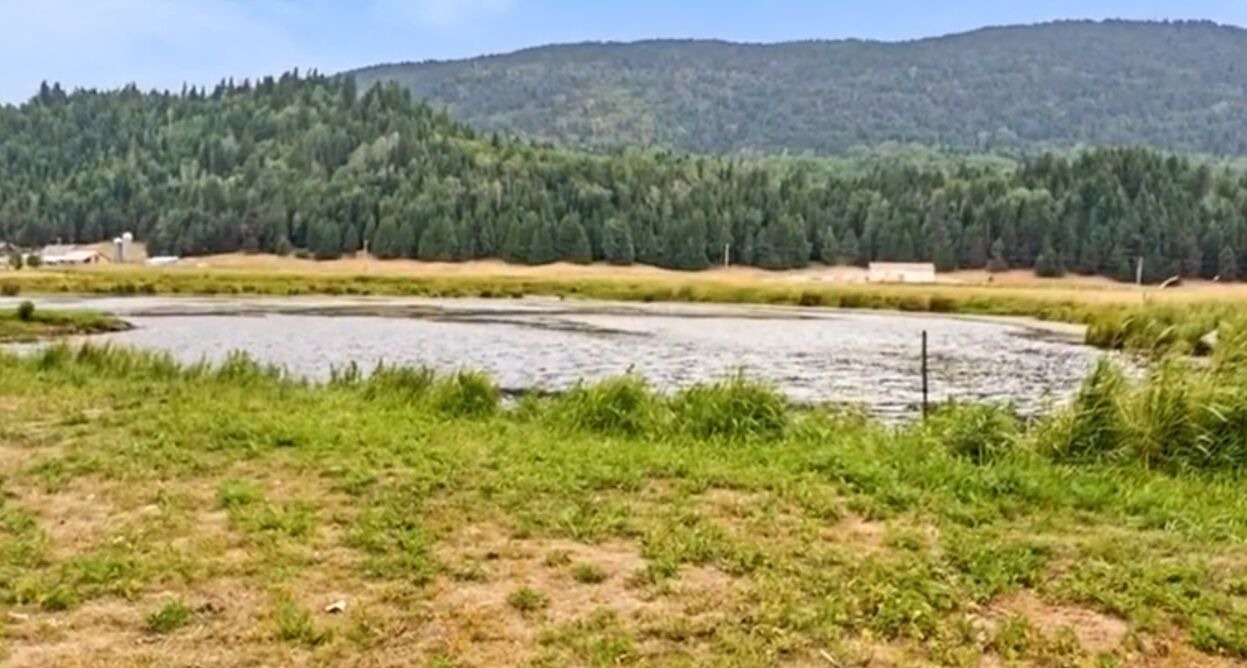 Photo of Others in Boundary County