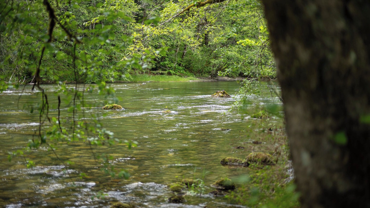 Photo of Others in Skykomish