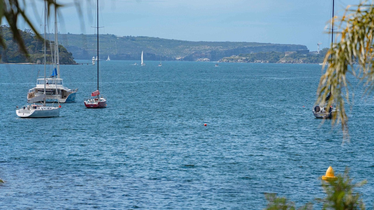 Photo of Others in Elizabeth Bay