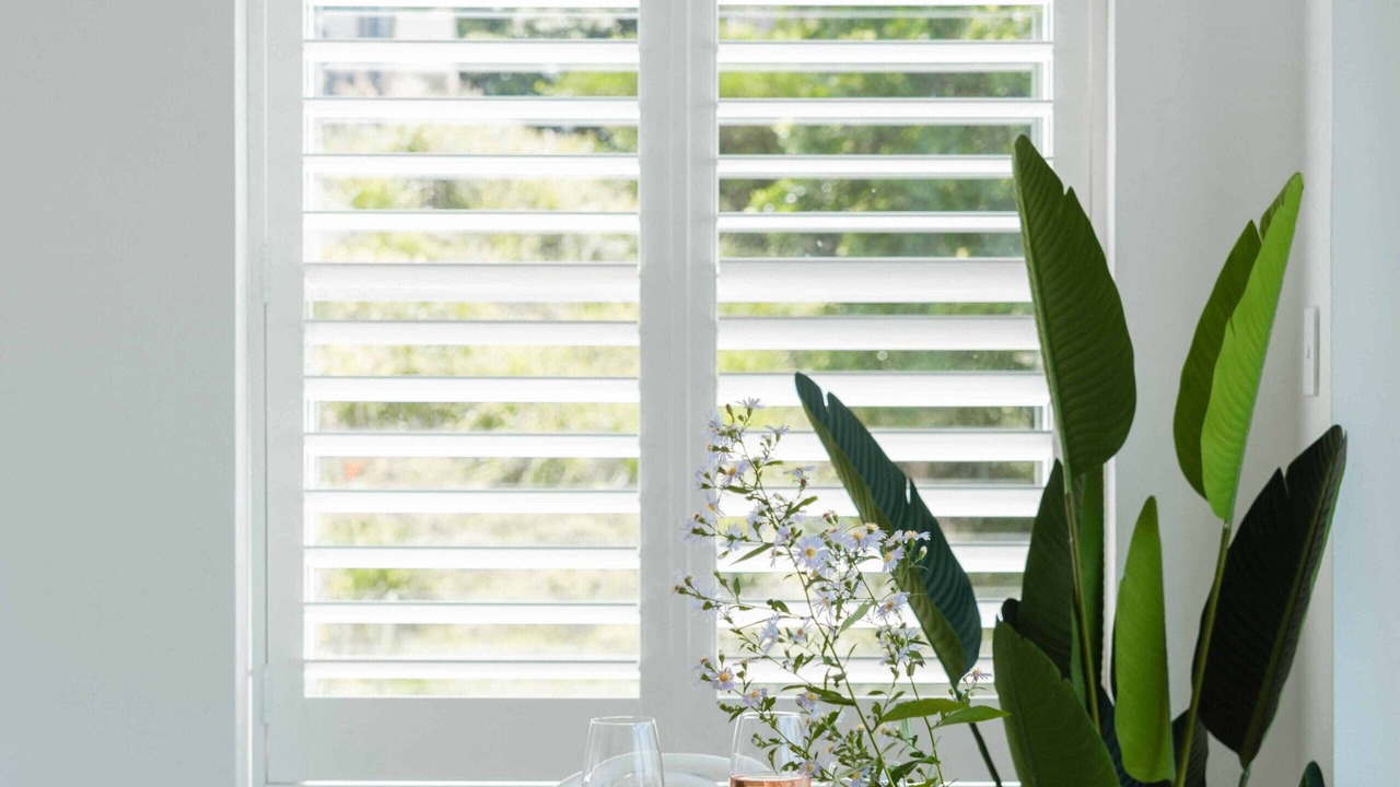 Photo of Others in Elizabeth Bay