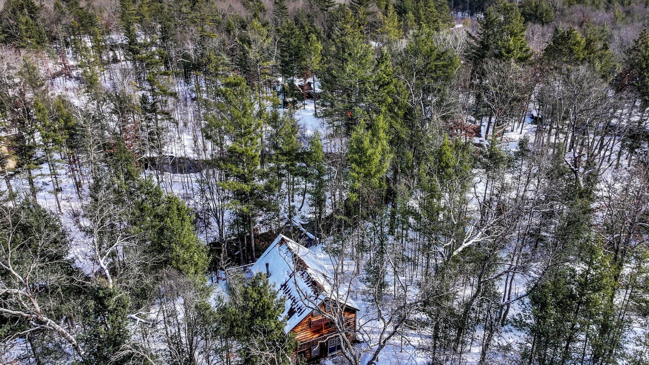Photo of Outdoor in Idlewild