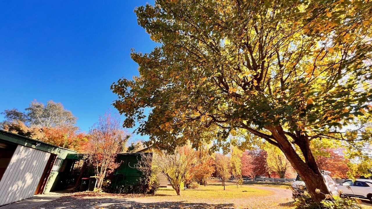 Photo of Outdoor in Myrtleford