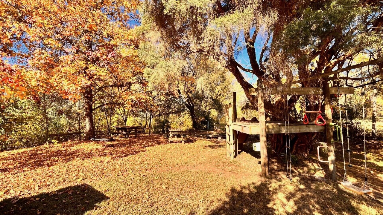 Photo of Outdoor in Myrtleford