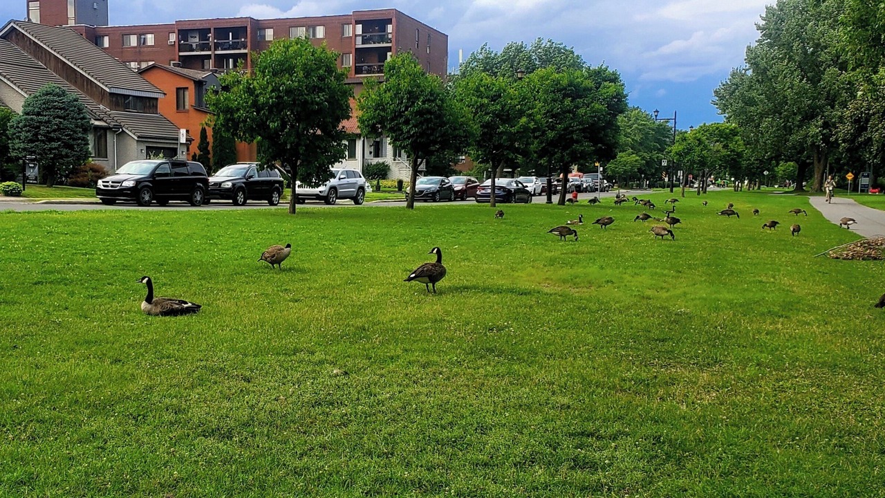 Photo of Others in LaSalle
