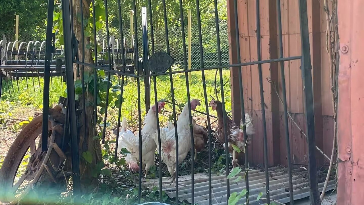 Photo of Outdoor in La Ferte-Gaucher