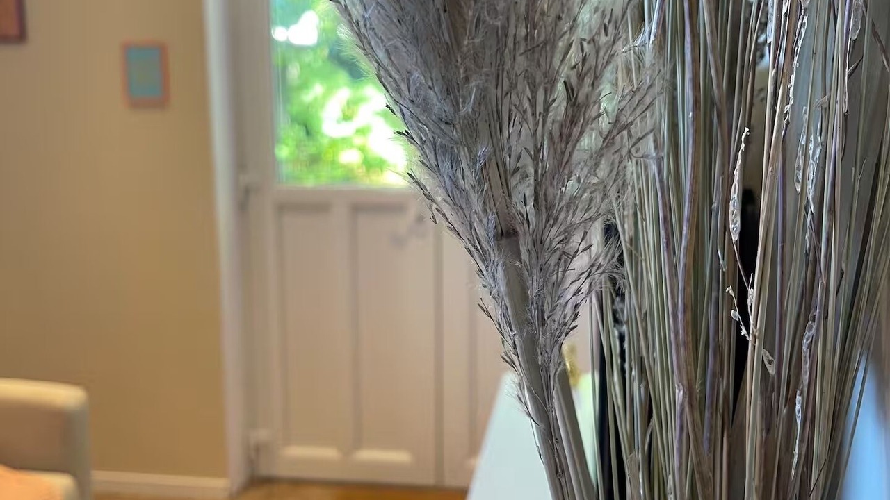 Photo of Others in La Ferte-Gaucher