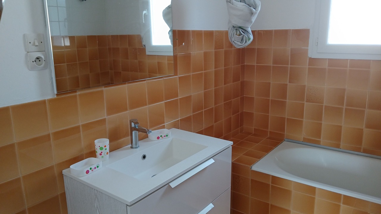 Photo of Bathroom in Allegre Les Fumades