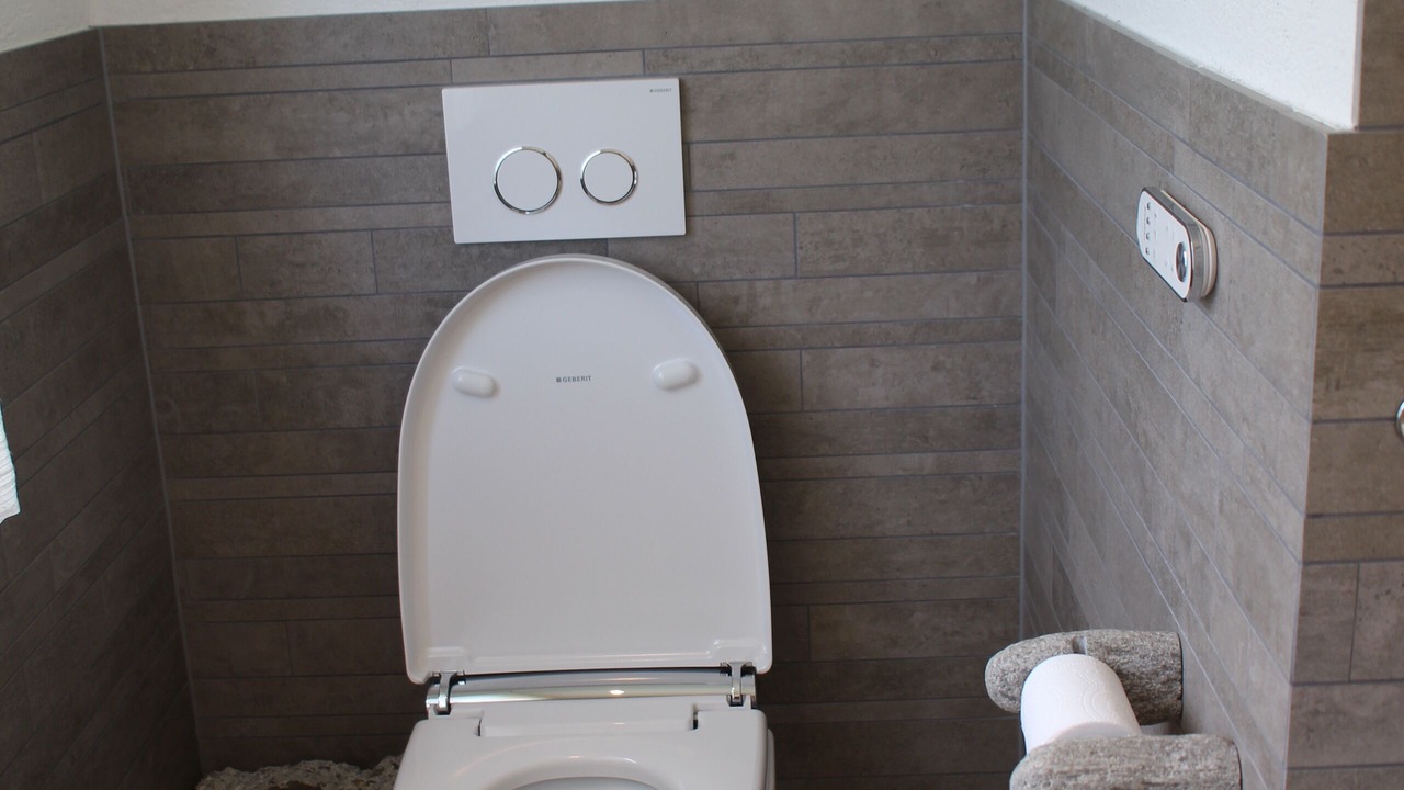 Photo of Bathroom in Meiringen