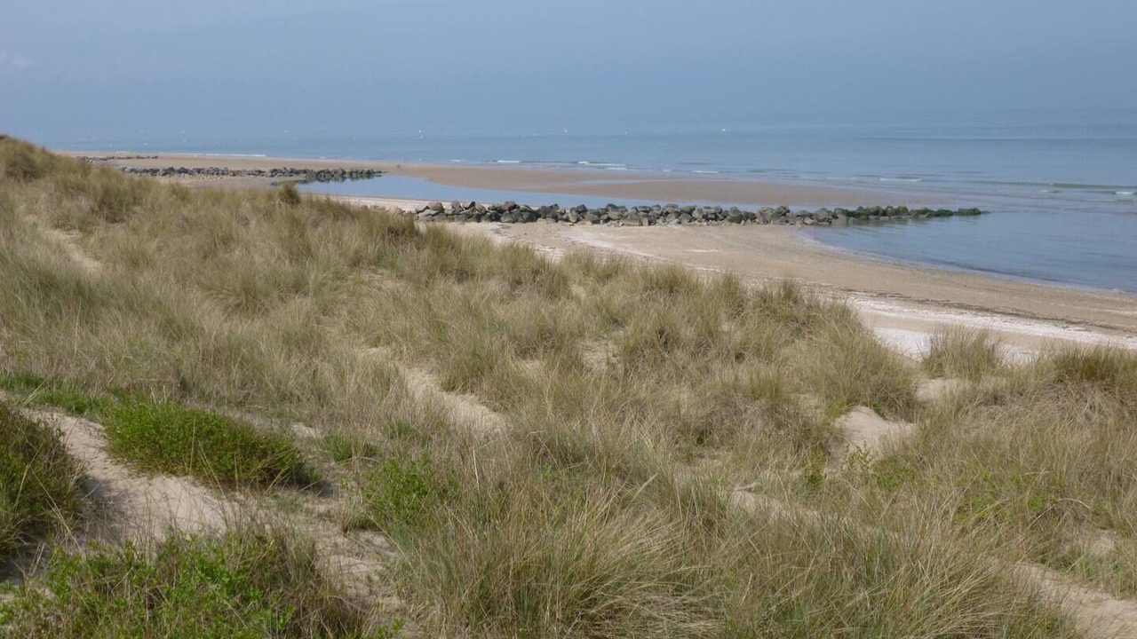 Photo of Others in Cabourg