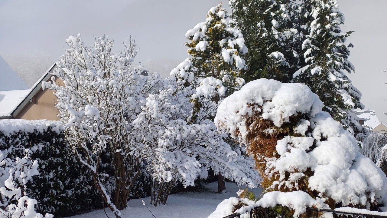 Photo of Outdoor in Guchan