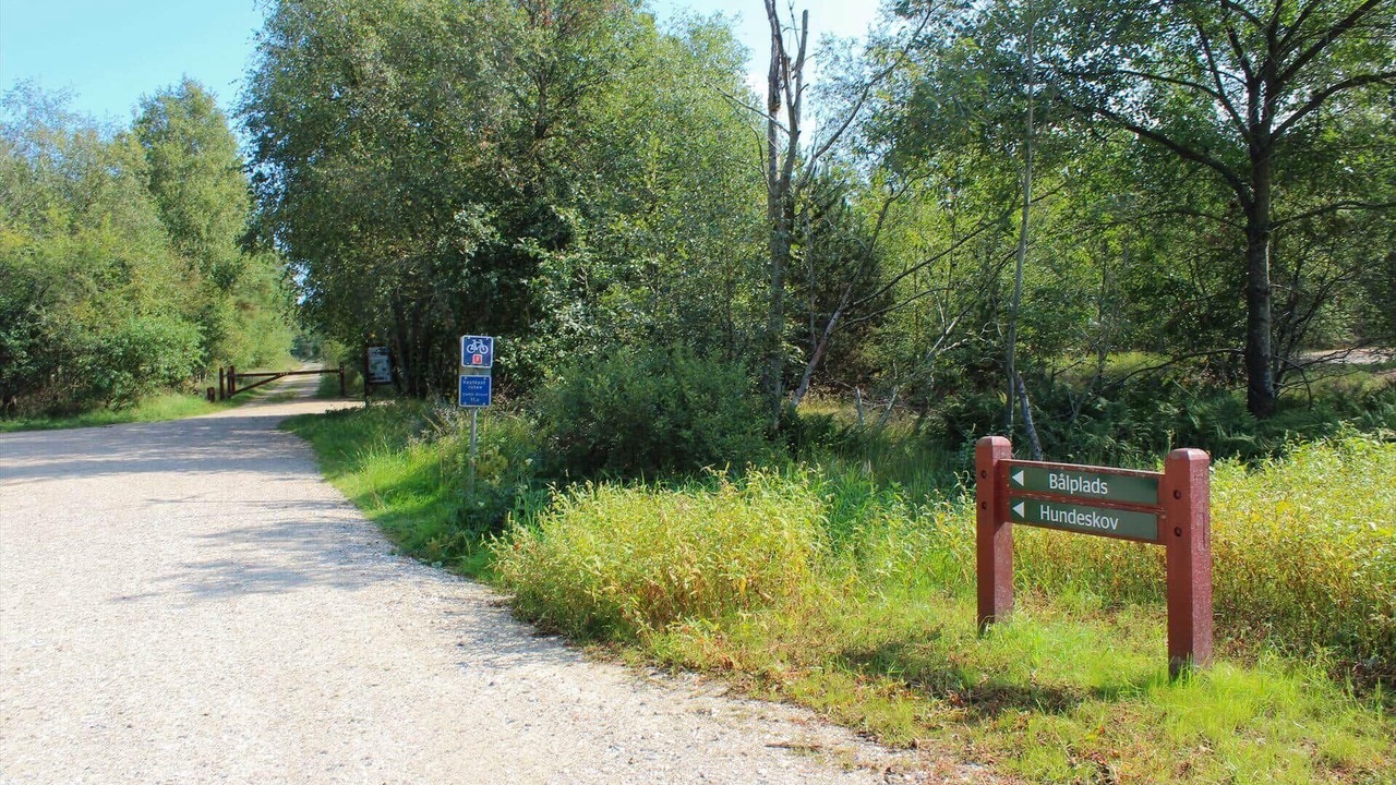 Photo of Others in Fjerritslev