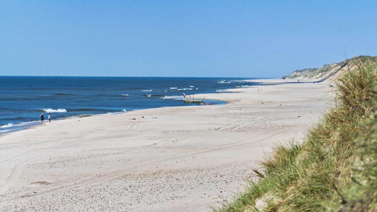 Photo of Others in Vedersø Klit