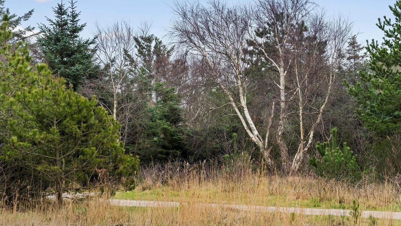 Photo of Others in Vedersø Klit