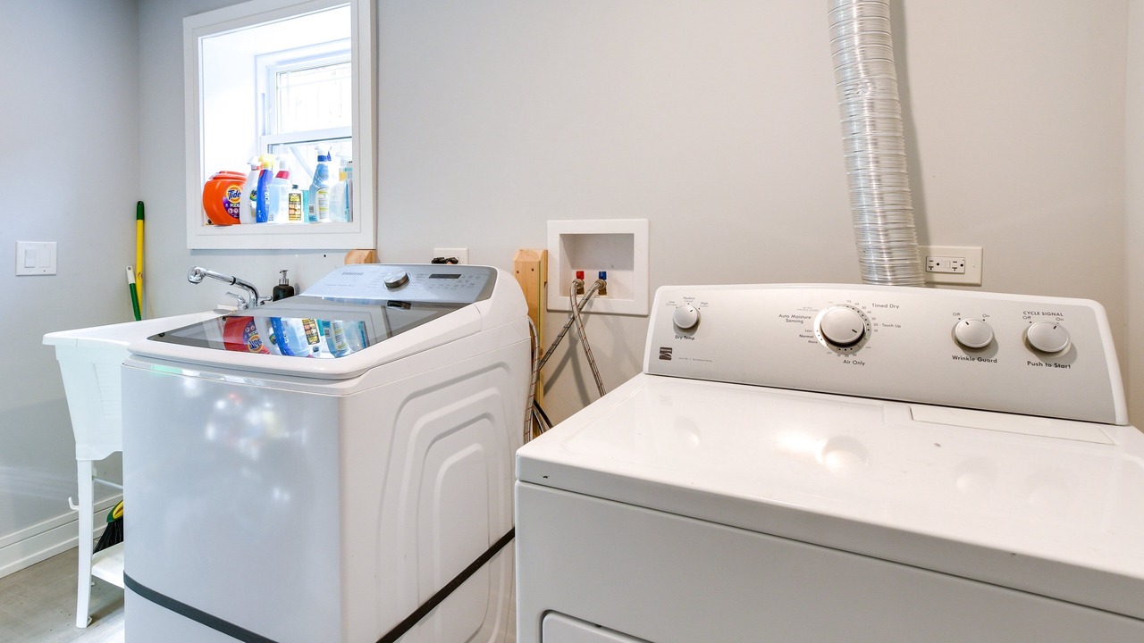 Photo of Others in Forest Park