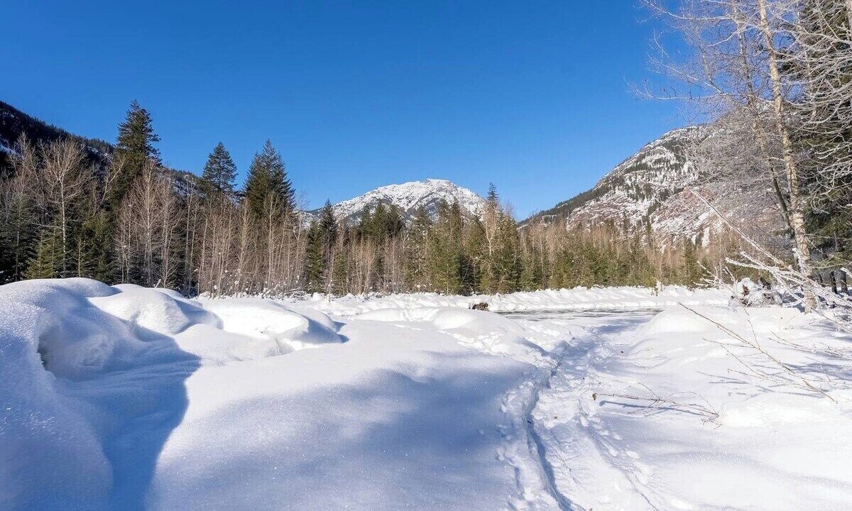 Photo of Others in Mazama