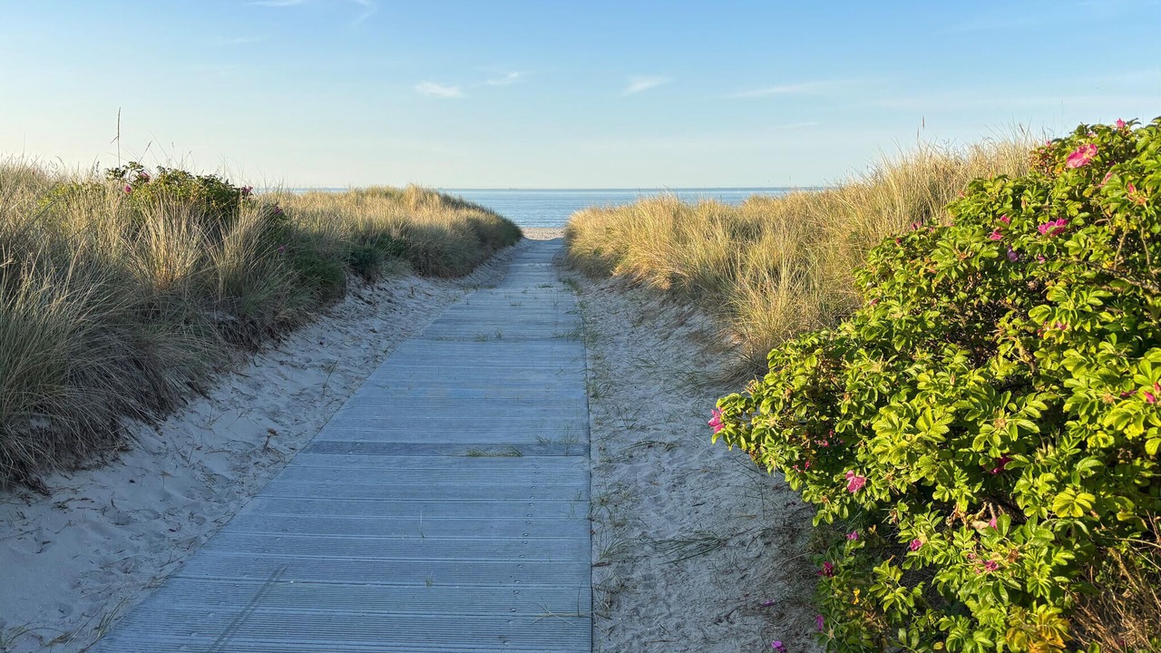 Photo of Others in Strandby