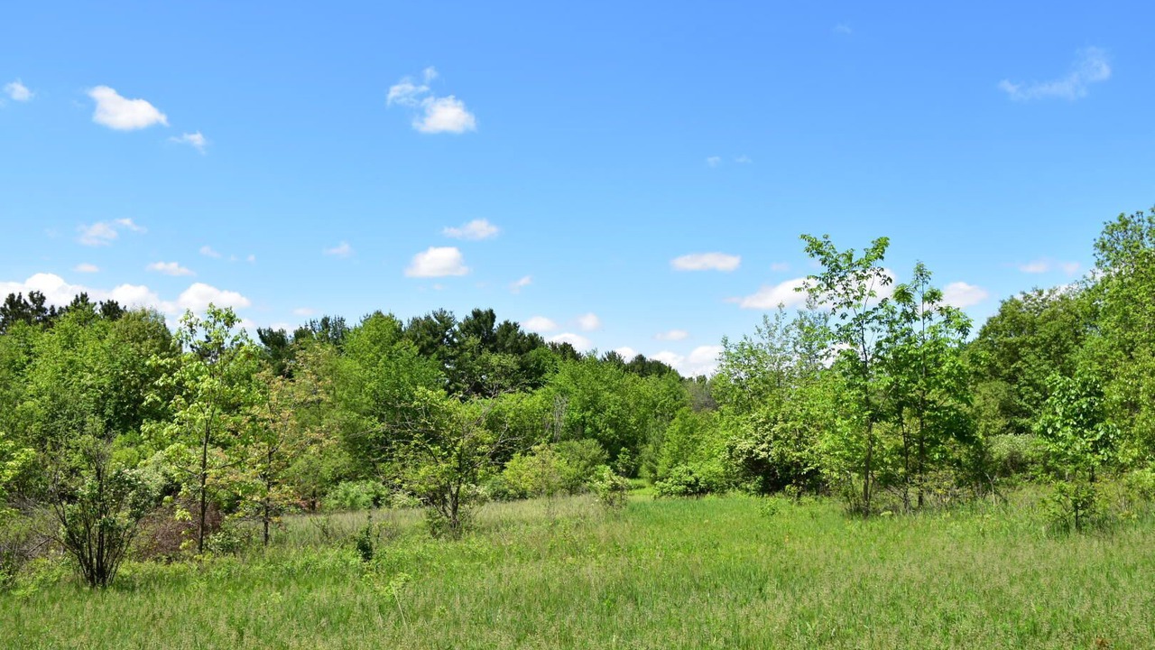 Photo of Others in East Troy