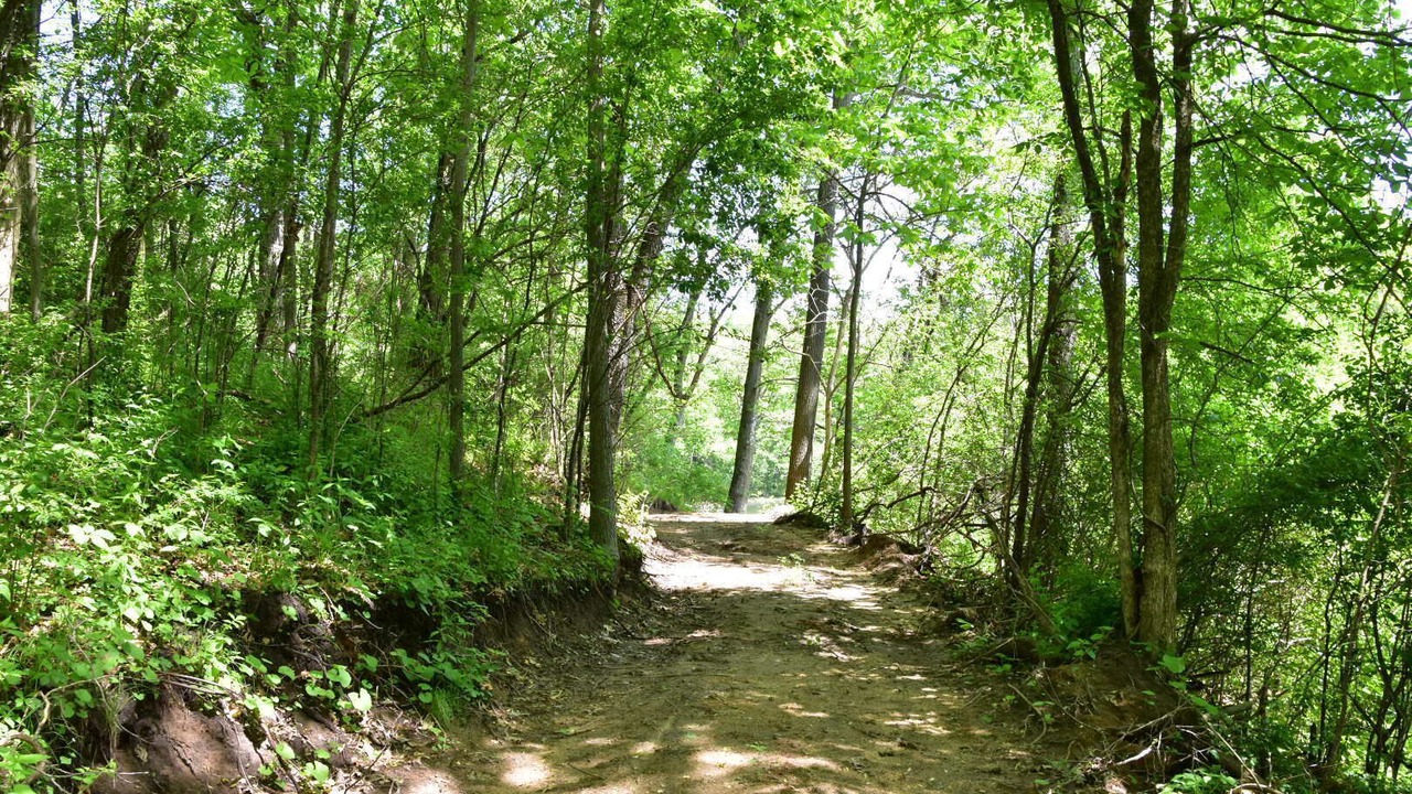Photo of Others in East Troy