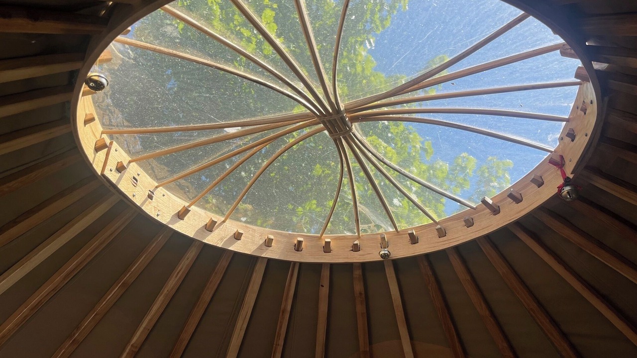 Photo of Others in Contin