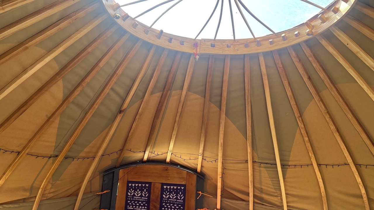 Photo of Others in Contin