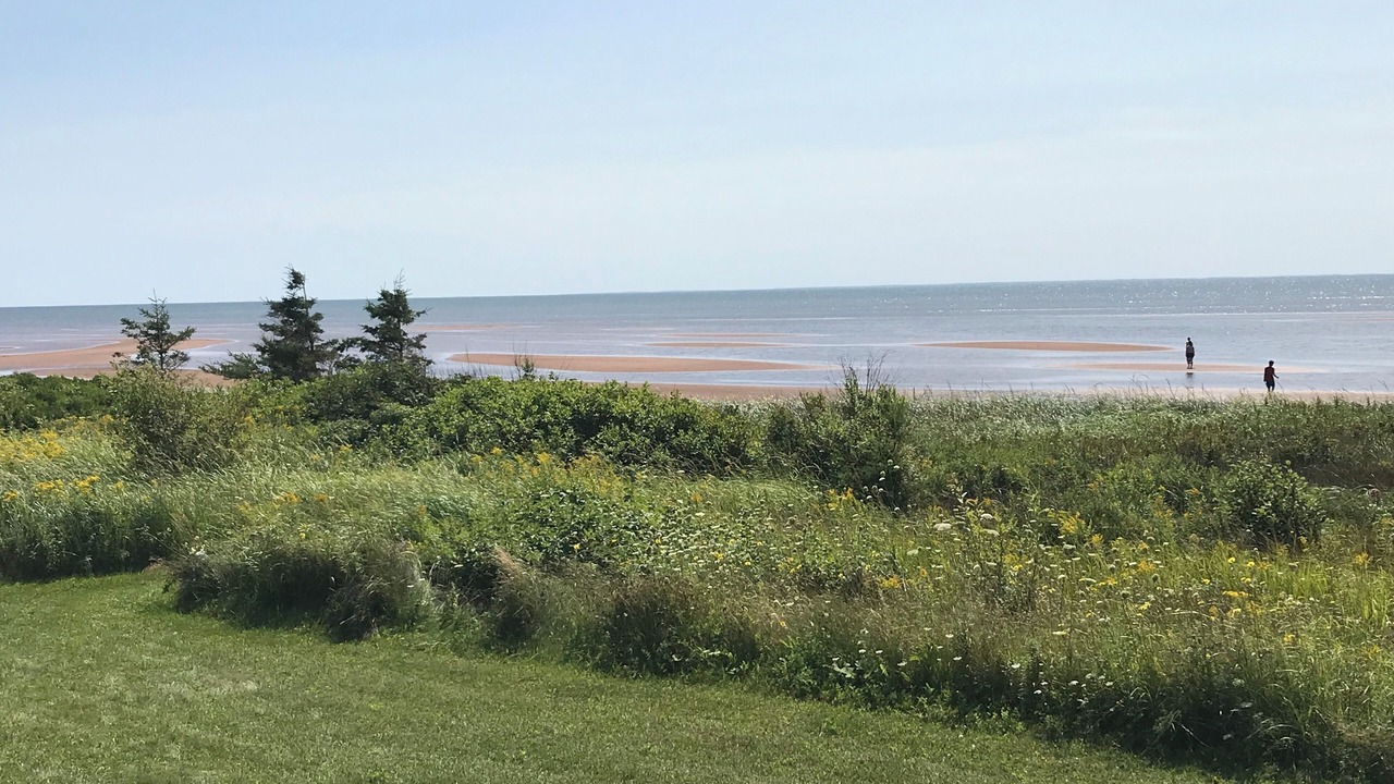 Photo of Others in Shemogue