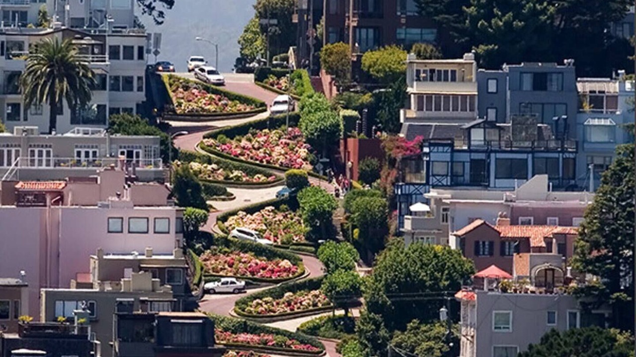 Photo of Others in Nob Hill