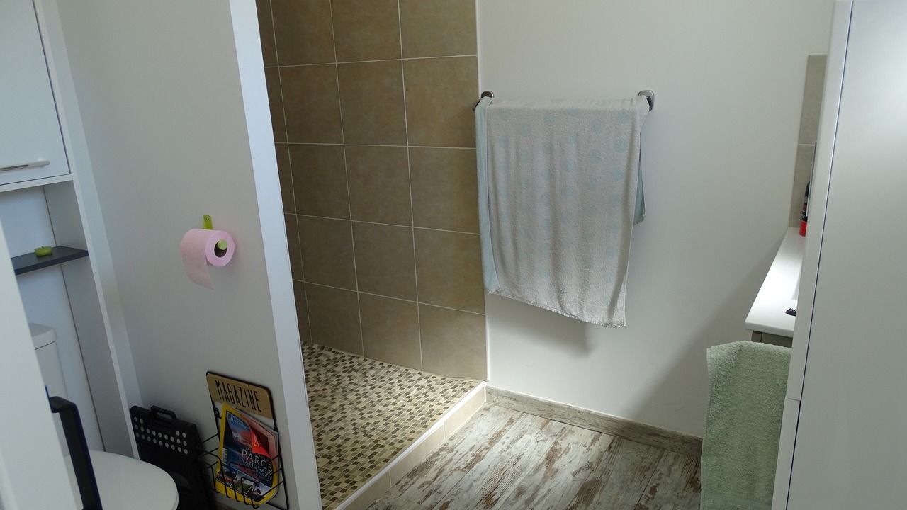 Photo of Bathroom in Flaux