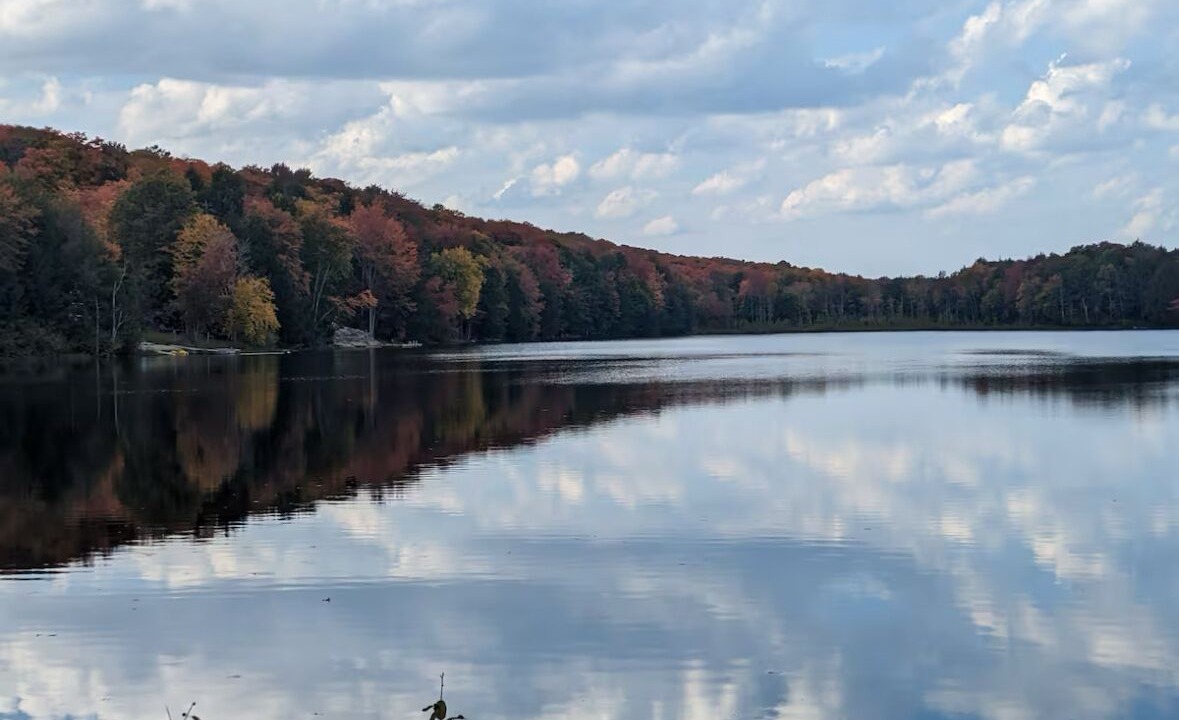 Photo of Outdoor in Bala