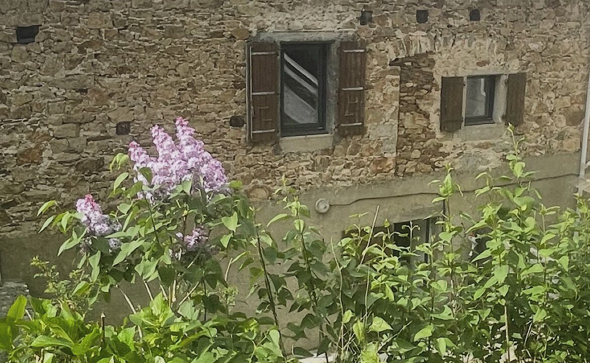 Photo of Outdoor in Ferrieres
