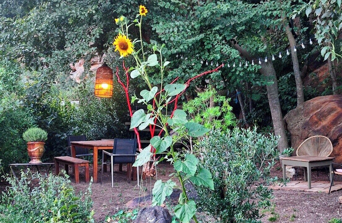 Photo of Outdoor in La Capelle-et-Masmolene