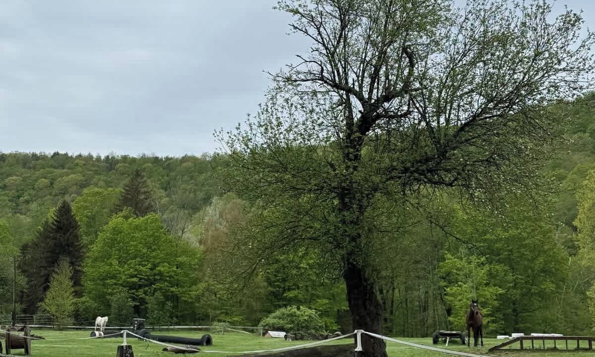 Photo of Others in Lanesville