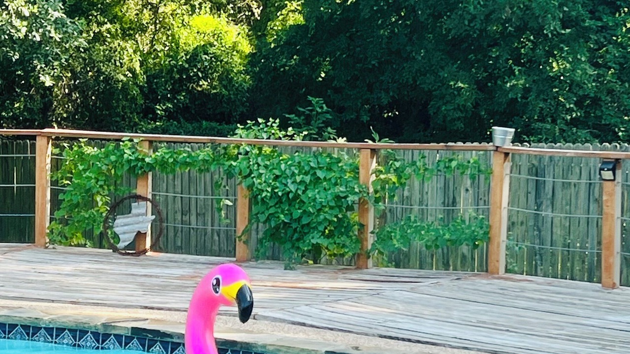 Photo of Outdoor in Hewitt
