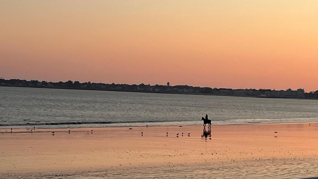 Photo of Others in Guerande