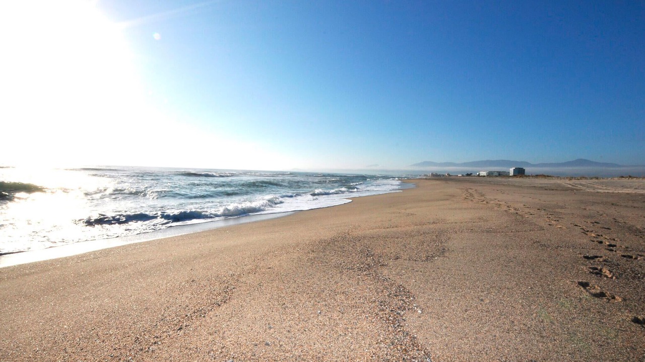 Photo of Others in Saleilles