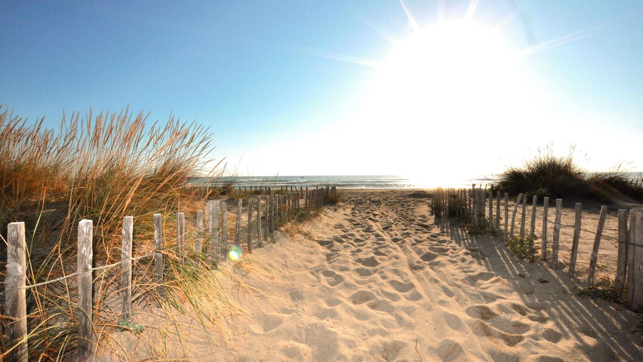 Photo of Others in Saleilles