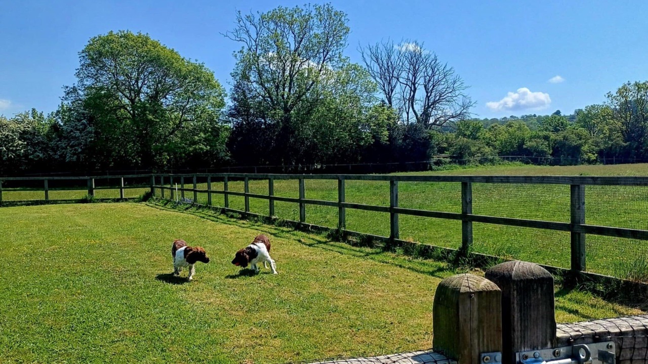 Photo of Outdoor in Shipham