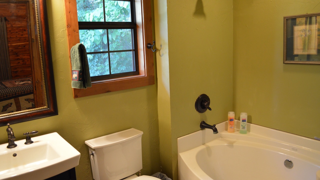Photo of Bathroom in Flippin