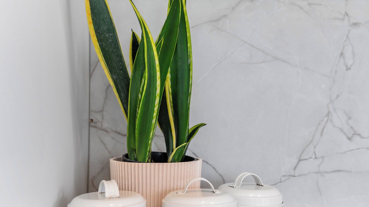 Photo of Others in Karapiro