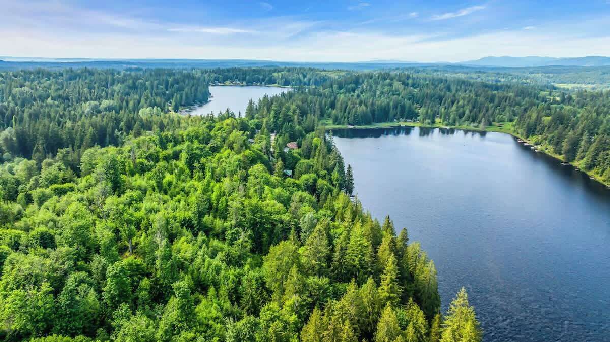 Photo of Outdoor in Three Lakes