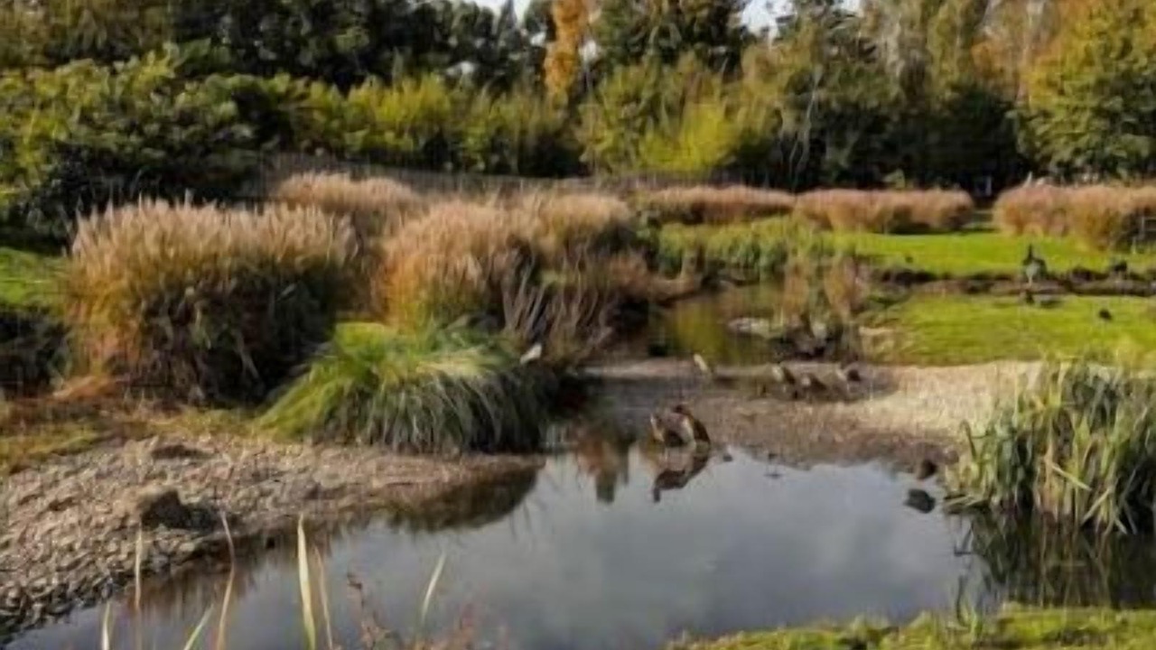 Photo of Others in Fulham Broadway