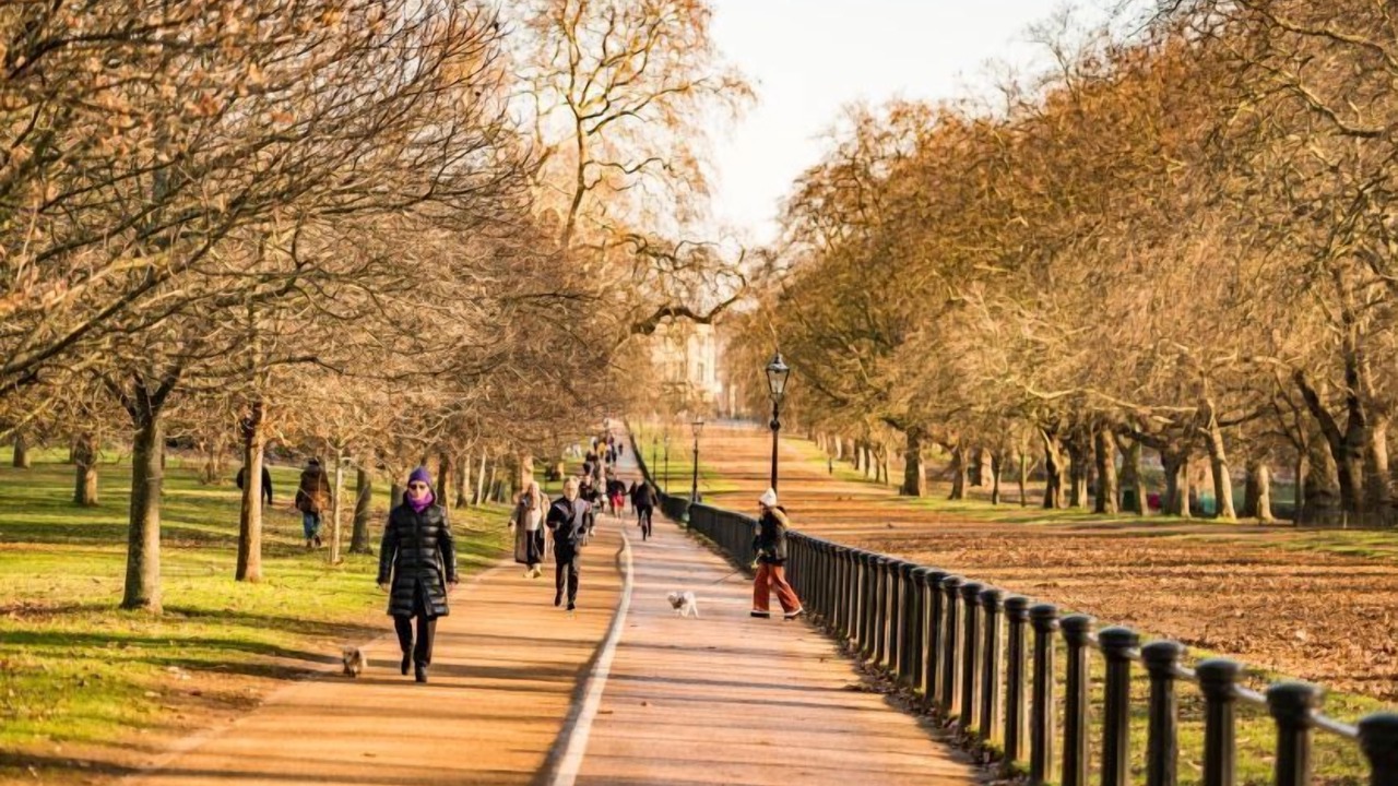 Photo of Others in Fulham Broadway
