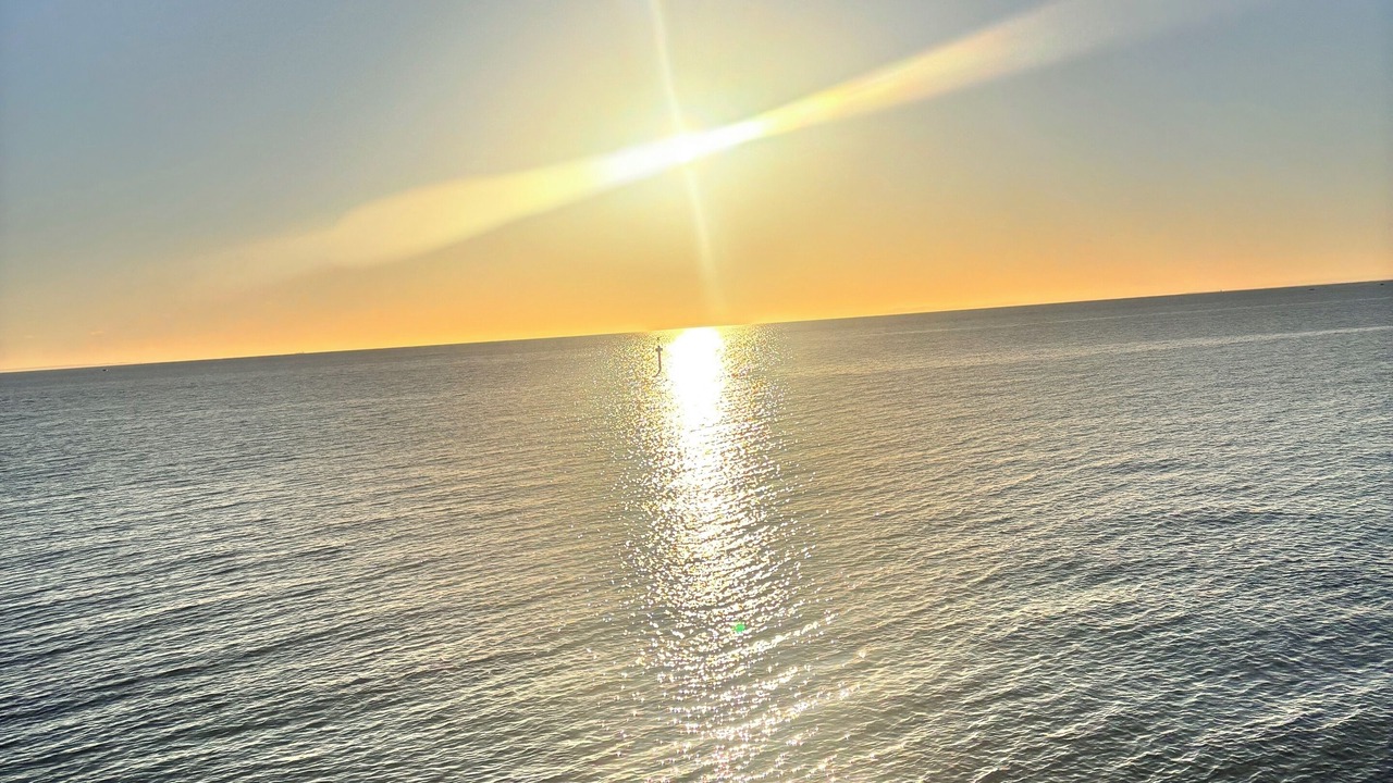 Photo of Others in Black Rock