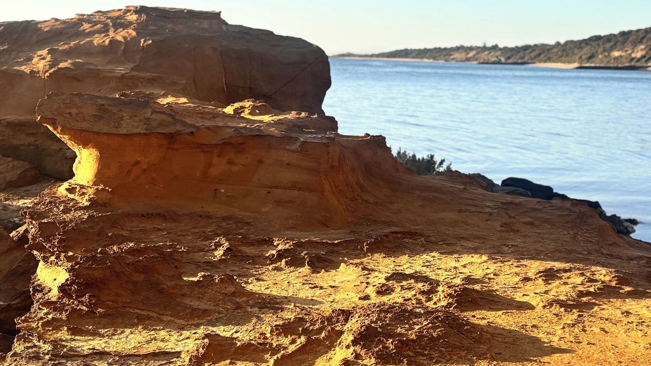 Photo of Others in Black Rock
