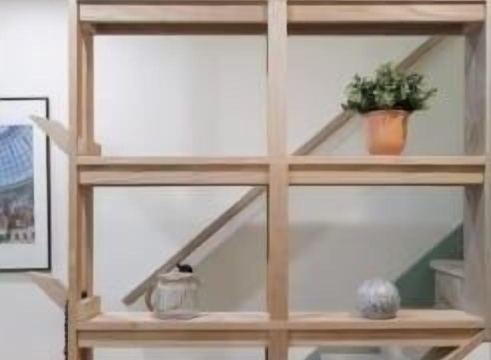 Photo of Others in Brixton Hill