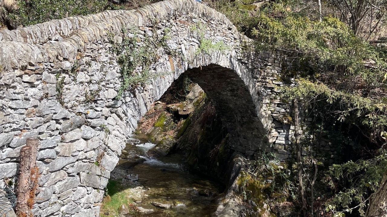 Photo of Others in Brione sopra Minusio