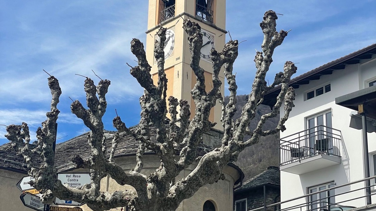 Photo of Others in Brione sopra Minusio