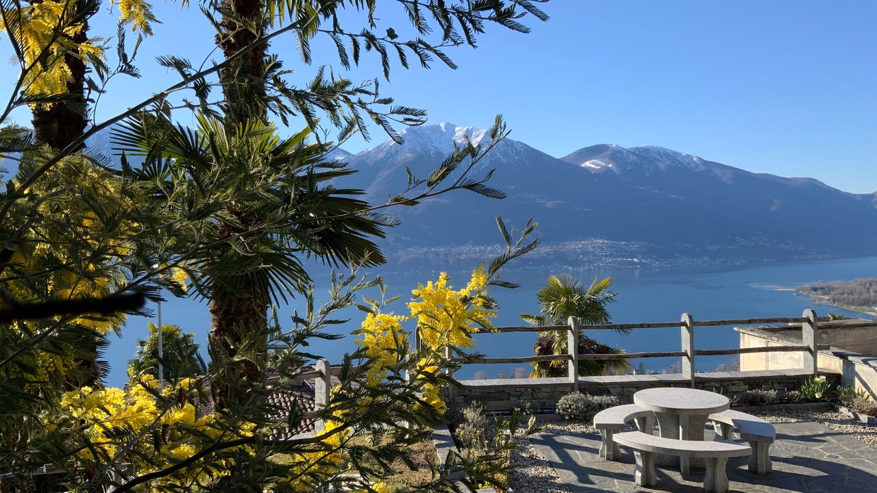 Photo of Outdoor in Brione sopra Minusio